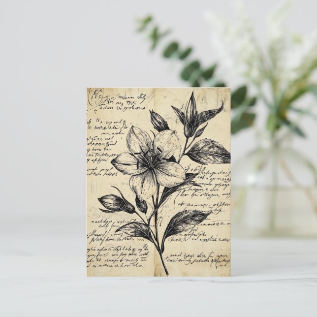 Rustic Floral Sketch with Calligraphy - Aged (5) Postcard (Standing Front)