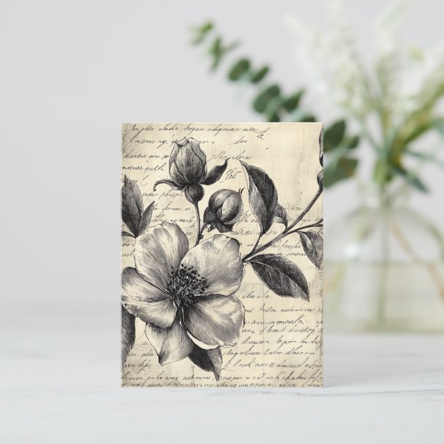 Rustic Floral Sketch with Calligraphy - Aged (8) Postcard (Standing Front)