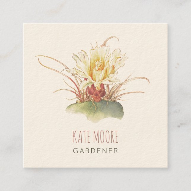Rustic Flowering Barrel Cactus Cream Gardener Square Business Card (Front)