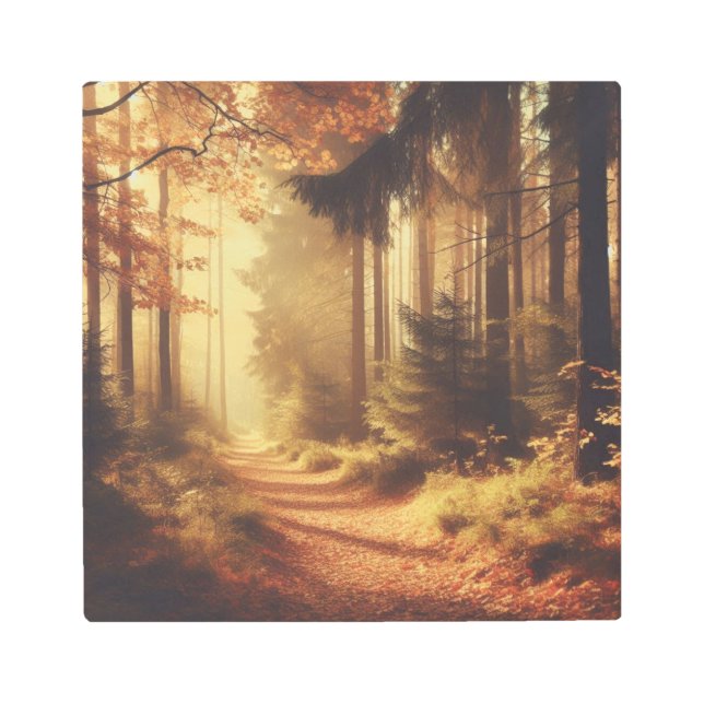 Rustic Forest Path in Autumn – Metal Wall Print (Front)