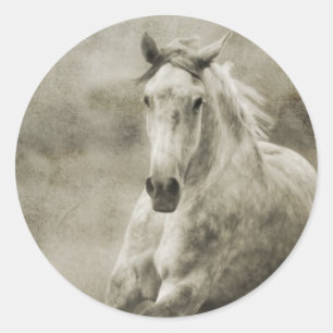 Rustic Galloping Andalusian Horse Classic Round Sticker