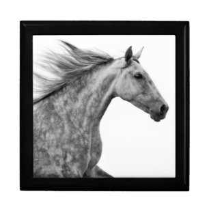 Rustic Galloping Andalusian Horse Jewelry Box