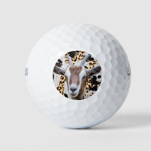 Rustic Goat Lover  Golf Balls
