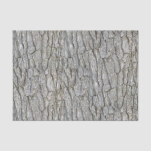 Rustic Gray Tree Bark Tissue Paper