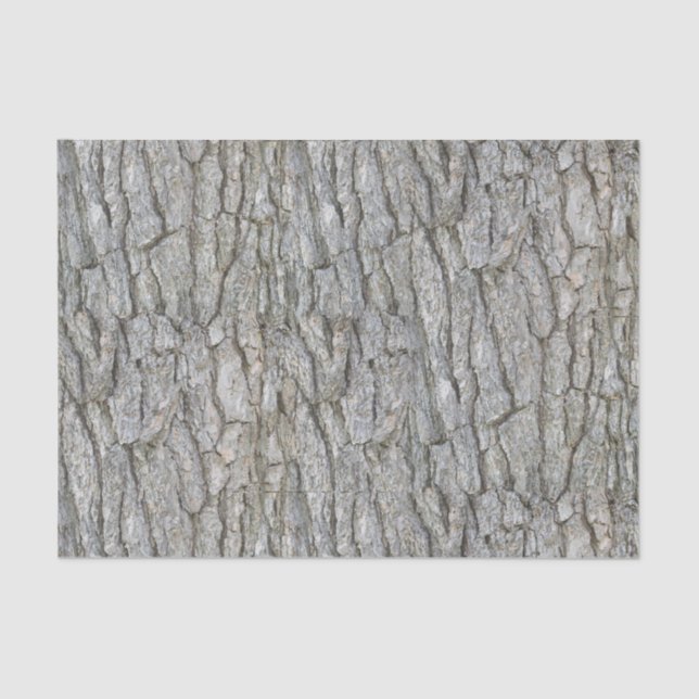 Rustic Gray Tree Bark Tissue Paper (Front)