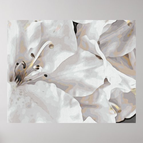  Rustic Grunge Azalea Flowers White Neutral  Poster