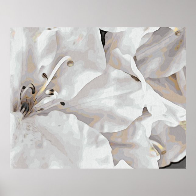 *~* Rustic Grunge Azalea Flowers White Neutral  Poster (Front)