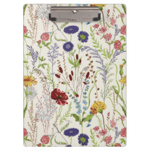 Rustic Hand-Drawn Meadow Wildflower