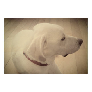 Rustic Hardwood Floor Beautiful Dog Photo Wood Wall Art