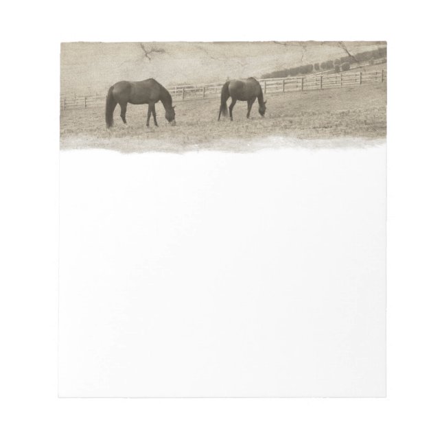 Rustic Horse Farm Notepad (Front)
