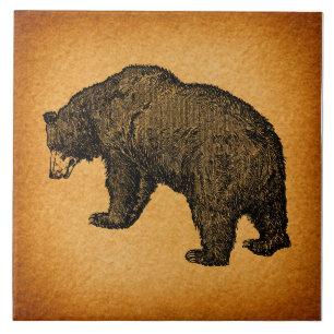 Rustic Illustrated Bear Art Ceramic Tile