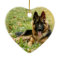 Rustic In Loving Memory PET Memorial Photo