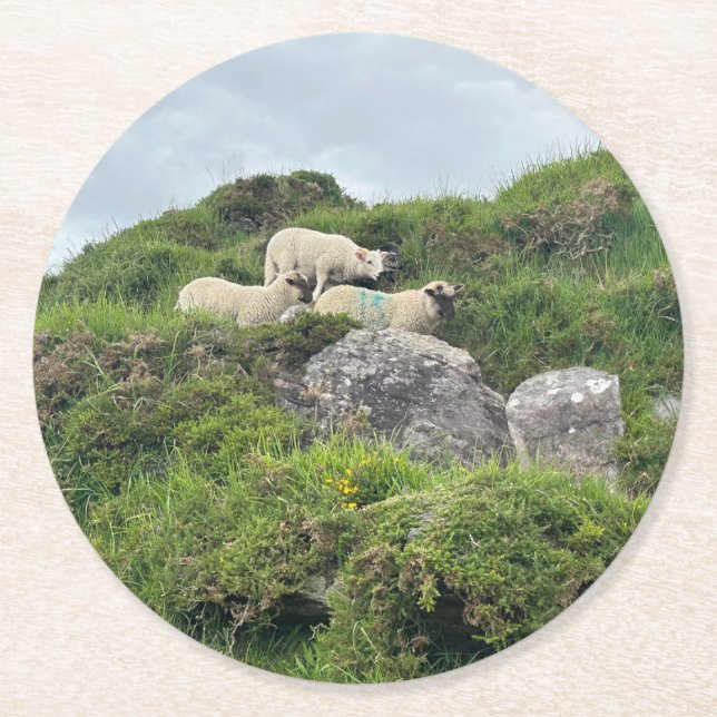Rustic Ireland Three Irish Sheep  Round Paper Coaster (Front)