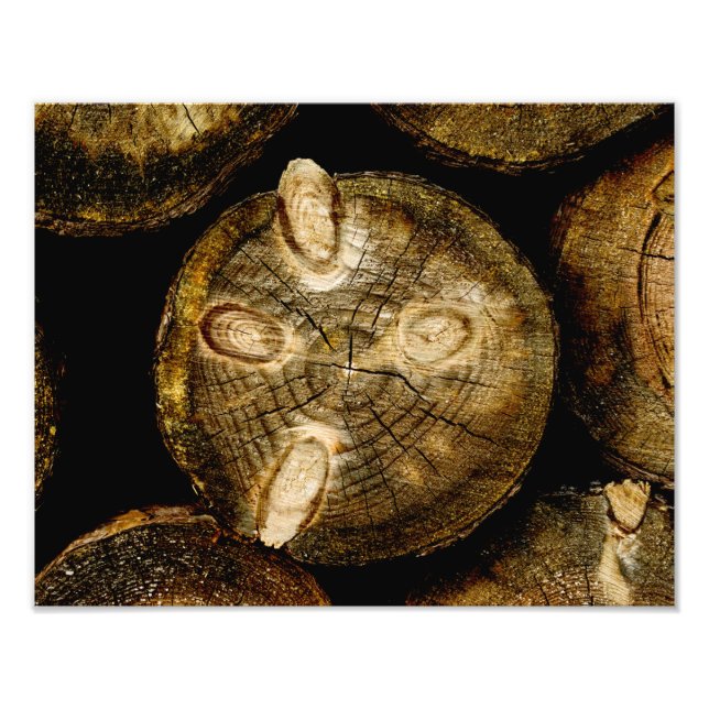 Rustic Log Roll Photo Print (Front)