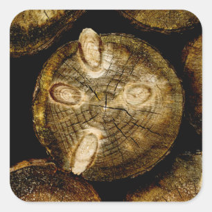 Rustic Log Roll Square Sticker