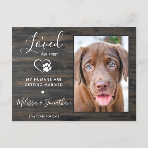 Rustic Loved Her First Pet Wedding Dog Engagement  Announcement Postcard