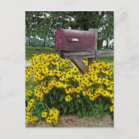 Rustic Mailbox Art