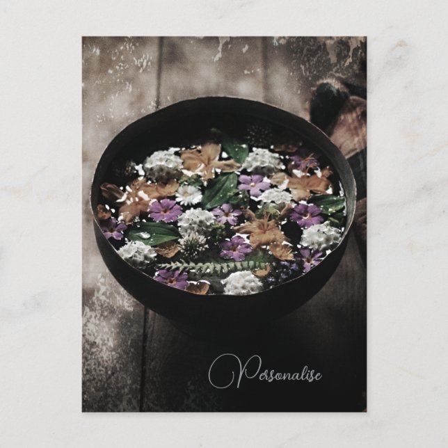 Rustic Meadow Flowers Floral Water Bowl Postcard (Front)