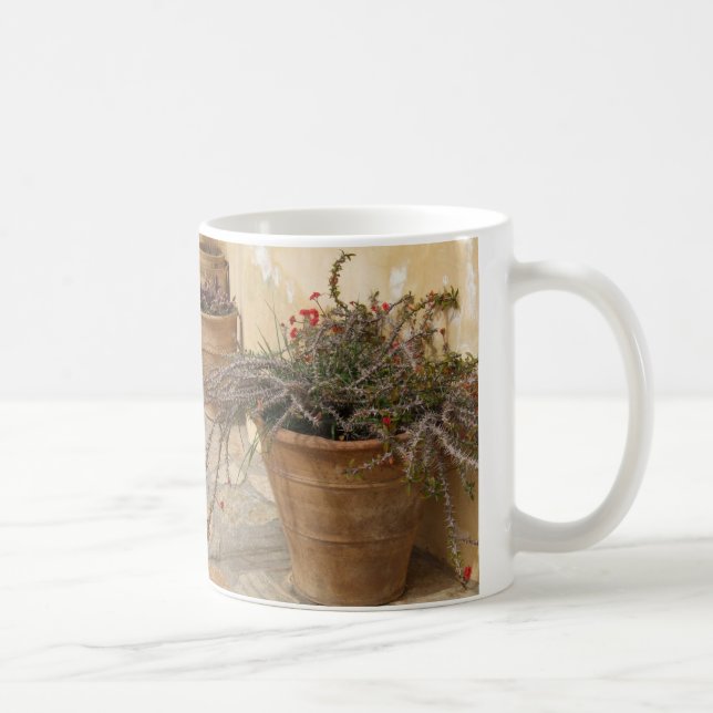 Rustic Mediterranean Cacti Plant Pots Mug (Right)