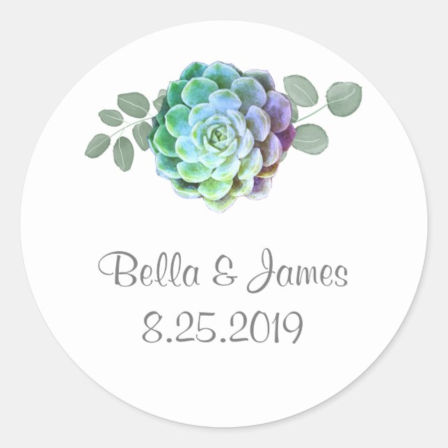 Rustic Minimalist Green Succulents Round Stickers (Front)