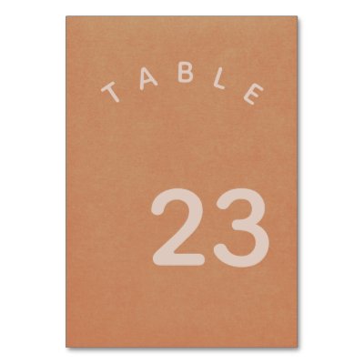 Rustic Minimalist Terracotta Wedding Table Number