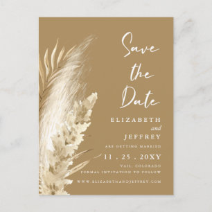 Rustic Neutral Earthy Boho Pampas Grass Wedding Announcement Postcard