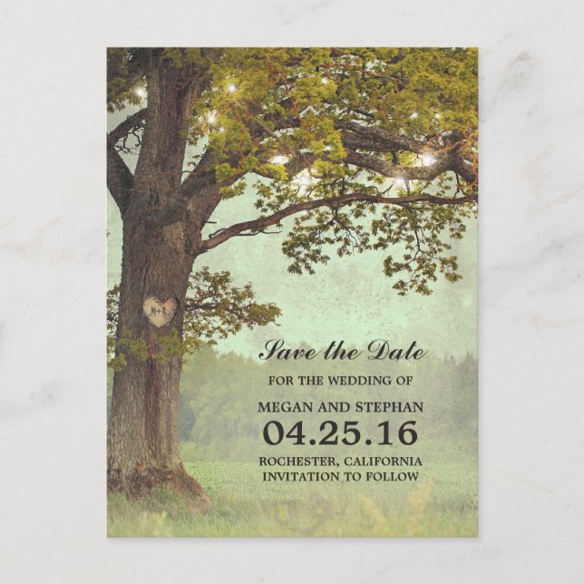 Rustic Oak Tree and String Lights Save the Date Announcement Postcard (Front)