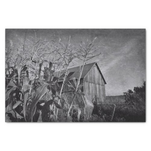 Rustic Old Country Barn Black And White Vintage Tissue Paper