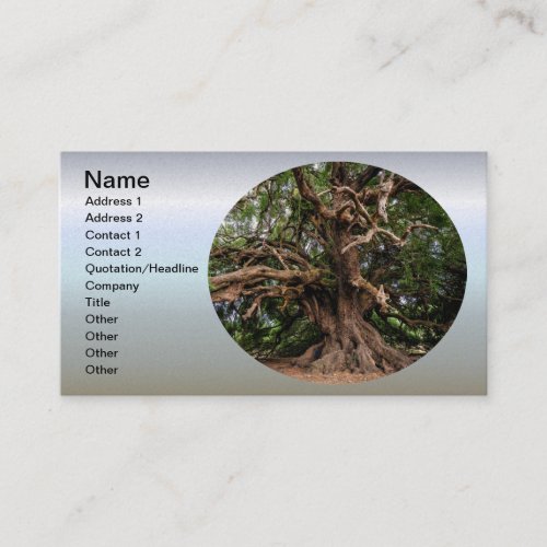 Rustic Old Olive Tree Business Card