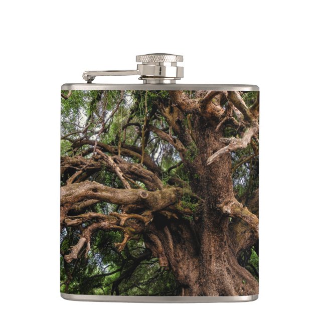 Rustic Old Olive Tree Flask (Front)