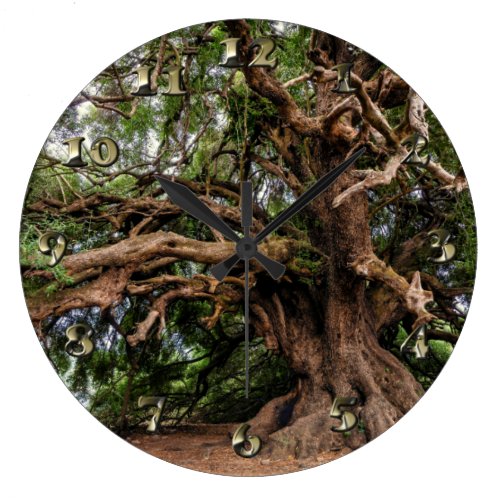 Rustic Old Olive Tree Large Clock