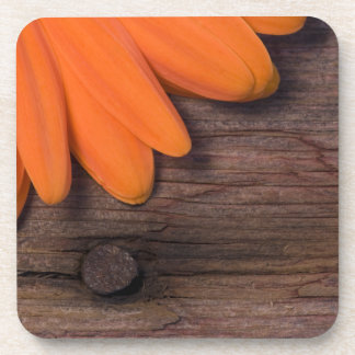 Rustic Orange Daisy and Barn Wood Drink Coaster
