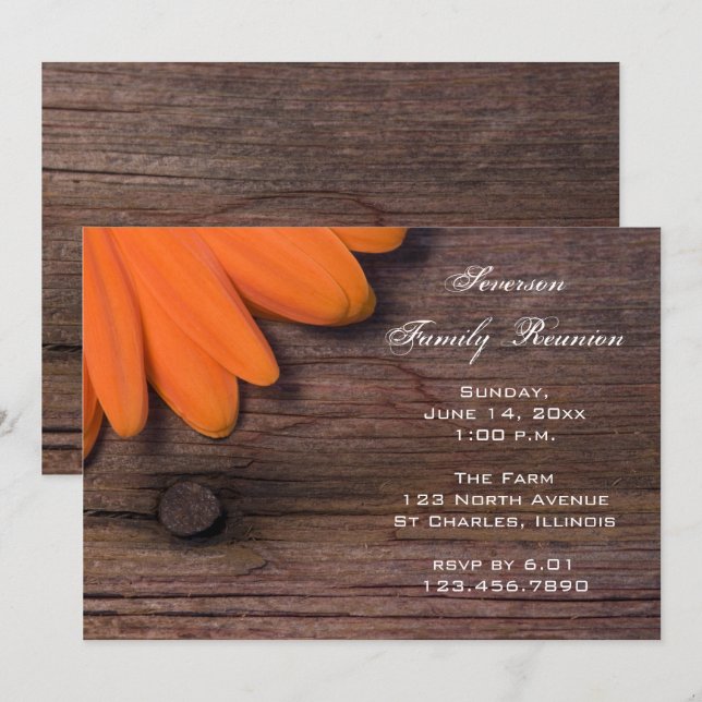 Rustic Orange Daisy Barn Party Family Reunion Invitation (Front/Back)