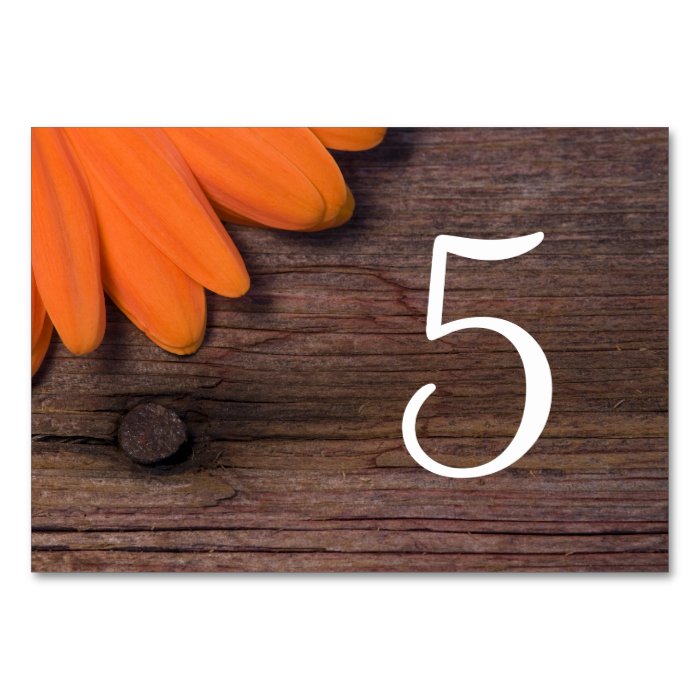 Rustic Orange Daisy Country Wedding Table Numbers Table Card