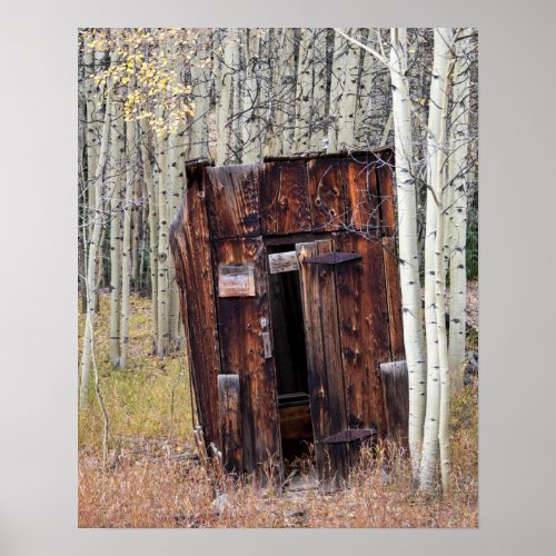 Rustic Outhouse in the Aspen St Elmo Colorado Poster