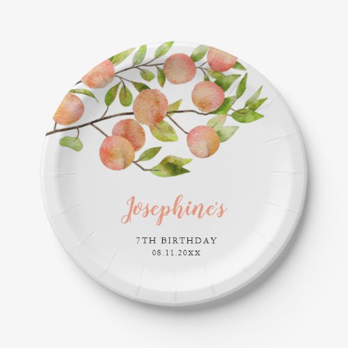 Rustic Peach Girl Birthday Party Paper Plates