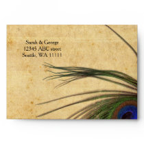 Rustic Peacock Feather enevlopes  7 ¼”  x 5 ¼” Envelope