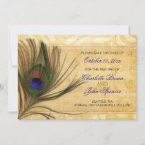 Rustic Peacock Feather wedding save the date