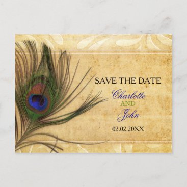 Rustic Peacock Feather wedding save the date Announcement Postcard