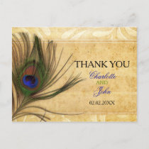 Rustic Peacock Feather wedding Thank You Postcard