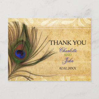 Rustic Peacock Feather wedding Thank You Postcard