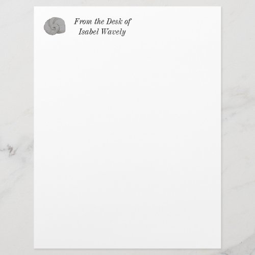 Rustic Personal Professional Watercolor Sea Shell Letterhead