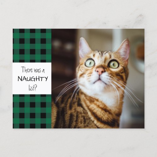 Rustic Pet NAUGHTY LIST Green Buffalo Plaid Funny Holiday Postcard