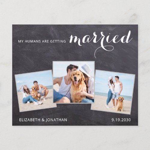 Rustic Pet Wedding 3 Photo Dog Save The Date Cards