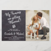 Rustic Pet Wedding Dog Save The Date Cards Budget (Front)