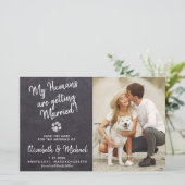 Rustic Pet Wedding Dog Save The Date Cards Budget (Standing Front)