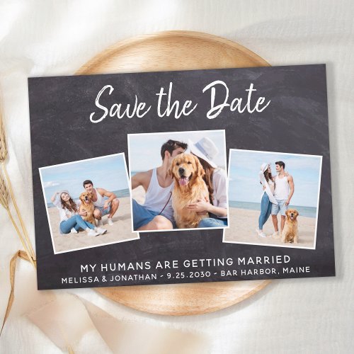 Rustic Photo Collage Pet Wedding Dog Save The Date