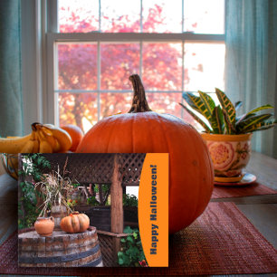 Rustic photo orange pumpink  Holiday Postcard
