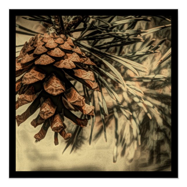 Rustic Pine Cone Design Poster (Front)
