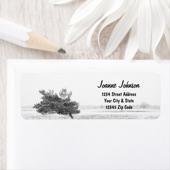 Rustic Pine tree country return address Label (Insitu)
